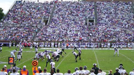 Paladin Stadium And Timmons Arena Clear Bag Policy - Furman University