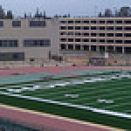 new-turf2